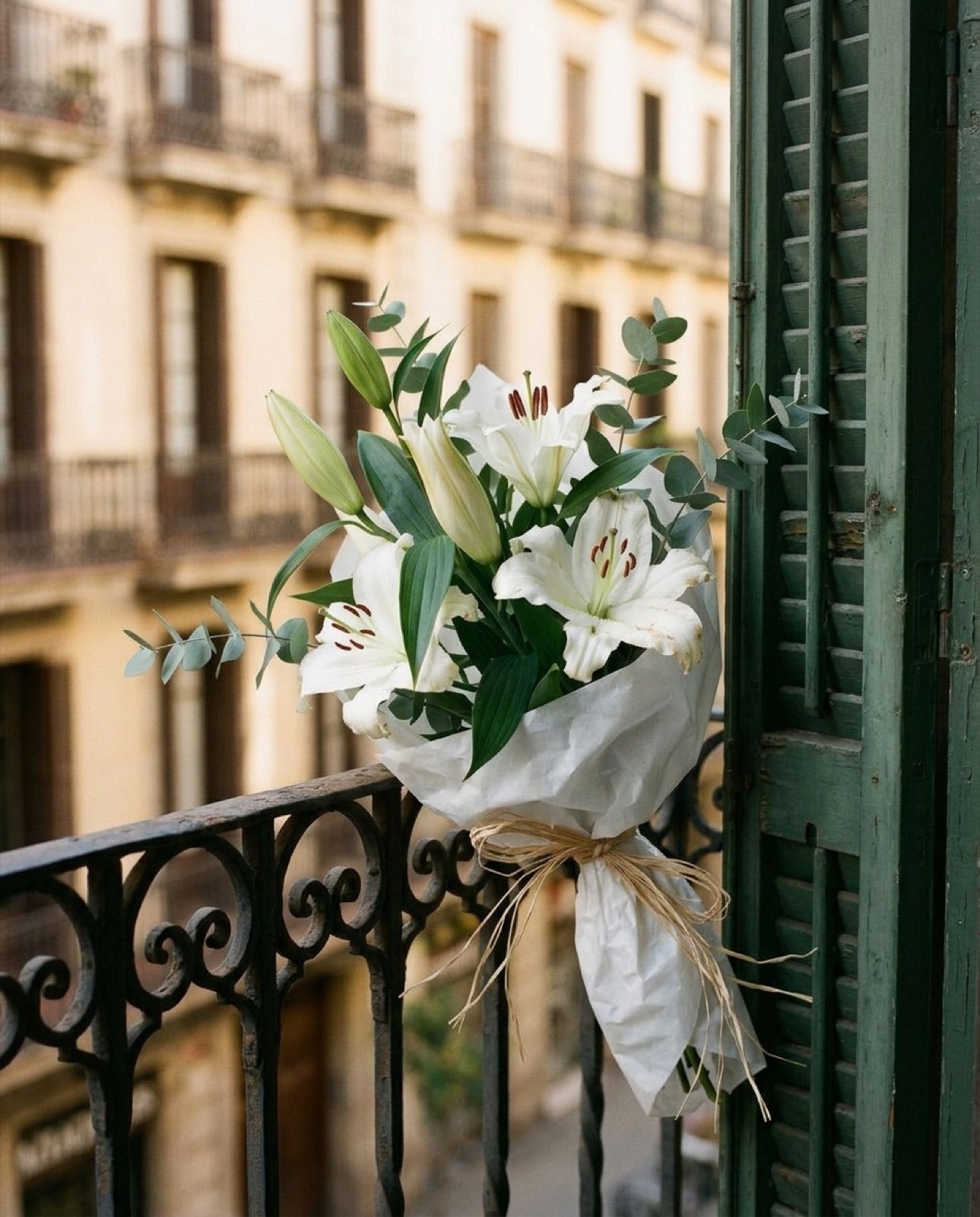 Augusta: 5 lilium orientals blancs amb verd, alt i senzill